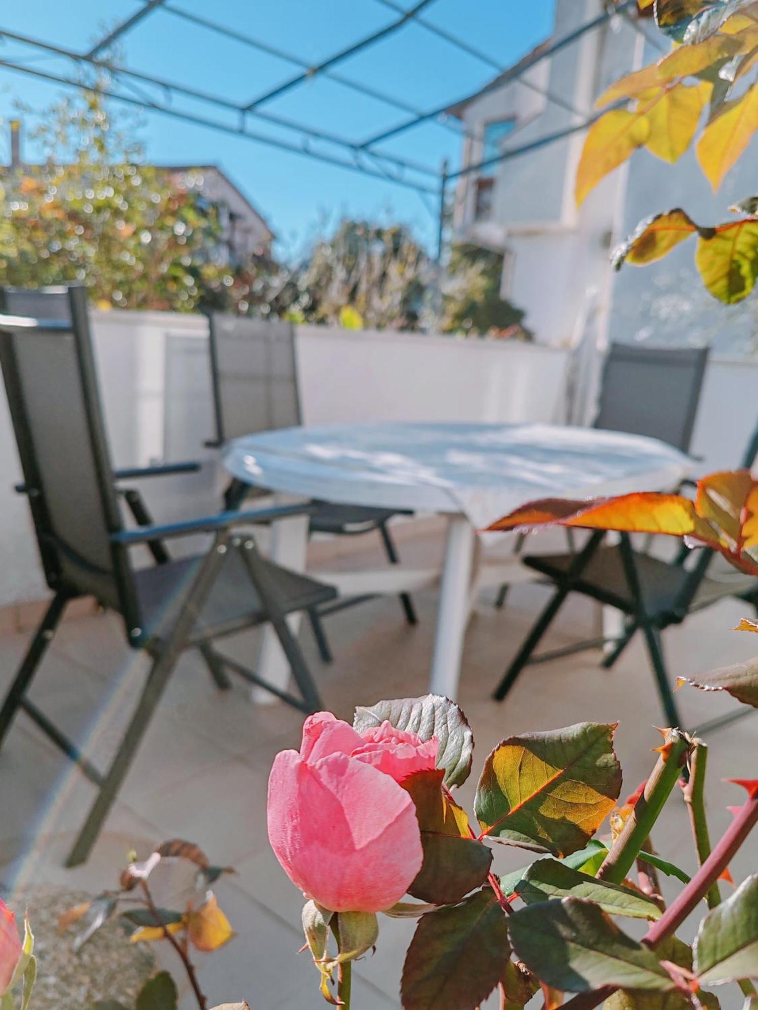Marko Apartment Ρόβινι Εξωτερικό φωτογραφία
